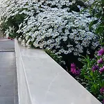게스트하우스 드 럭스 아파트먼트 3*